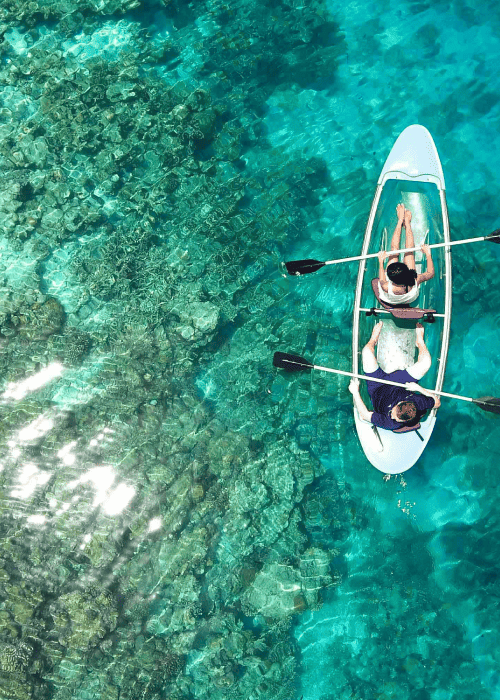 Adventure Shore Excursions – explore Half-moon reef & Coral Mountain
