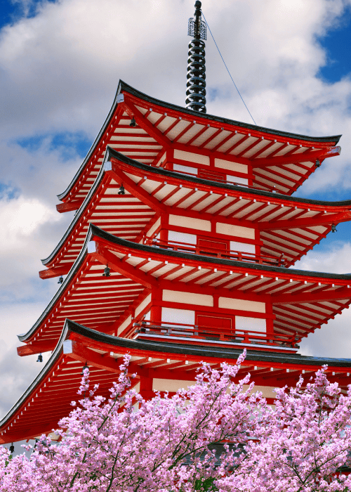 Tokyo: Private Cherry Blossom Experience – the best of ancient & modern Japan