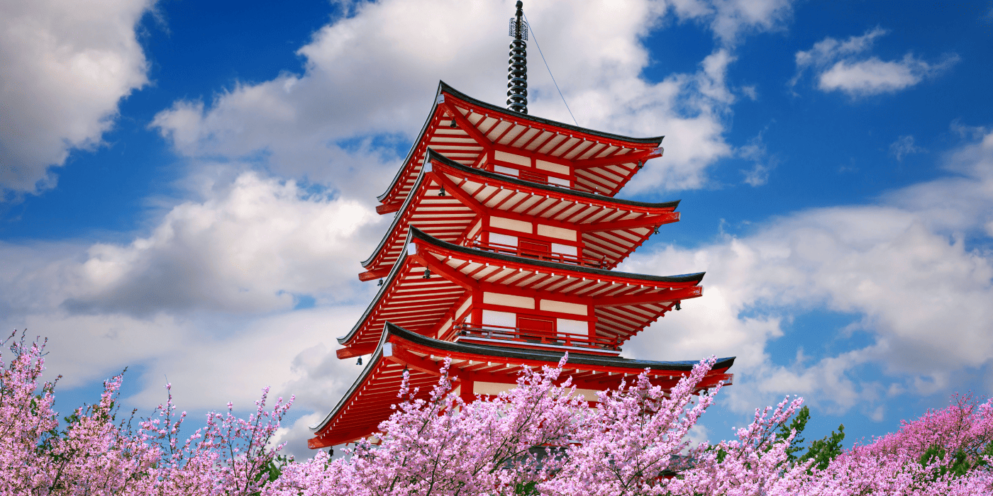 Tokyo: Private Cherry Blossom Experience – the best of ancient & modern Japan